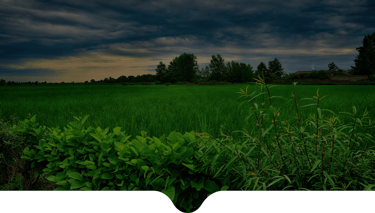 background-home